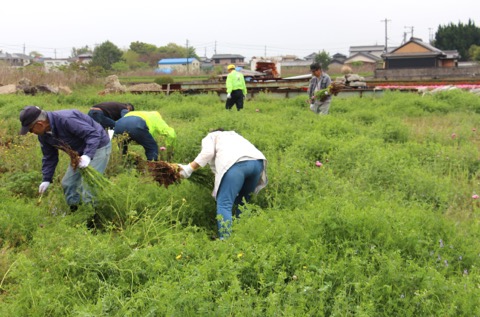 suzuka_katsudo_04_a_2024.jpg